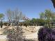 Community playground surrounded by flowering bushes and trees at 5626 E Sleepy Ranch Rd, Cave Creek, AZ 85331