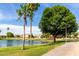 Beautiful community pond with palm trees, walking path, and well-maintained landscaping at 5993 W Topeka Dr, Glendale, AZ 85308