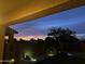 Landscaped backyard with tree and outdoor lighting offers views of the twilight sky at 6338 W Raymond St, Phoenix, AZ 85043