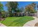 A backyard putting green with an artificial turf, surrounded by mature trees and block fencing at 8464 N 7Th Ave, Phoenix, AZ 85021