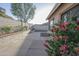 Secluded backyard featuring a concrete patio, block wall, colorful flowers, and desert landscaping at 925 E Wagoner Rd, Phoenix, AZ 85022