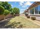 Spacious backyard with grass and greenery at 10071 W Angels Ln, Peoria, AZ 85383