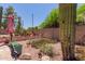 Desert landscaping includes cacti, succulents, and gravel, creating a serene outdoor space in the backyard at 115 E Spur Ave, Gilbert, AZ 85296