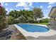 Backyard swimming pool features a concrete surround and lush landscaping at 16202 N 61St Ave, Glendale, AZ 85306