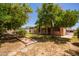 A lovely backyard with fruit trees provides a tranquil outdoor space at 1810 N 74Th St, Scottsdale, AZ 85257