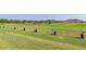 Aerial view of a driving range with neatly aligned tee stations, offering a glimpse into the community's golfing facilities at 20283 N 273Rd Ave, Buckeye, AZ 85396