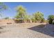 Spacious backyard showcasing decorative rock, desert landscaping and block wall that adds privacy at 28054 N Jade St, San Tan Valley, AZ 85143