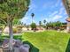 Landscaped backyard with artificial turf, rocks, palm trees, and various plants at 3702 N 160Th Ave, Goodyear, AZ 85395