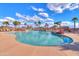 Sparkling community pool surrounded by lush palm trees, offering a refreshing oasis for relaxation and recreation at 40232 W Marion May Ln, Maricopa, AZ 85138