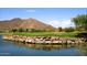 Picturesque golf course with water feature and mountain views at 6939 E Bramble Berry Ln, Scottsdale, AZ 85266