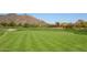 Expansive golf course with green grass, white flag, and mountain views at 6939 E Bramble Berry Ln, Scottsdale, AZ 85266