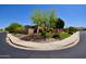 Neighborhood street featuring well-maintained landscaping and charming single-Gathering homes at 9842 E Celtic Dr, Scottsdale, AZ 85260