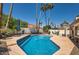 Sparkling blue pool surrounded by lush landscaping and tall palm trees, perfect for relaxation at 10522 E Bella Vista Dr, Scottsdale, AZ 85258