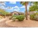 Lovely backyard showcasing desert landscaping, mature trees, and a covered patio and pool at 14426 W Becker Ln, Surprise, AZ 85379