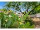 Exterior backyard featuring native vegetation with a prickly pear cactus in the foreground at 1720 W Elm St, Phoenix, AZ 85015