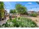 Large backyard featuring beautiful desert landscaping, mature trees, and charming string lights at 1720 W Elm St, Phoenix, AZ 85015