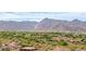 Scenic community view with mountain backdrop; lush greenery and desert plants add charm and beauty at 20532 W Summit Pl, Buckeye, AZ 85396