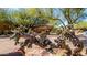 Unique desert landscaping frames this home in the Southwest at 22050 N 90Th St, Scottsdale, AZ 85255
