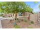 Beautifully landscaped front yard featuring a large tree and various desert plants surrounding the charming home at 25202 N 106Th Dr, Peoria, AZ 85383