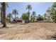 Vacant homesite framed by mature palm trees, providing a serene and inviting space to create your custom-built haven at 4419 N 46Th Pl, Phoenix, AZ 85018