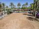 Prime homesite surrounded by mature palm trees, offering a picturesque setting for your dream home in a tranquil neighborhood at 4419 N 46Th Pl, Phoenix, AZ 85018