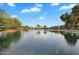 Scenic view of a pond, with ducks, surrounded by lush greenery at 4756 E Ironhorse Rd, Gilbert, AZ 85297
