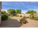 View of a well-maintained gravel backyard with plants and partial fencing at 6482 S Claiborne Ave, Gilbert, AZ 85298