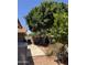 Backyard with desert landscaping, mature shade trees, brick patio and gravel ground cover at 6853 S Roosevelt St, Tempe, AZ 85283