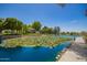 Scenic pond view with lily pads, lush greenery, and clear blue water on a sunny day at 7808 E Lewis Ave, Scottsdale, AZ 85257