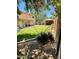 Green backyard featuring a grassy lawn, covered patio, a separate gazebo, and privacy fencing at 10426 W Roanoke Ave, Avondale, AZ 85392