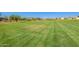 Expansive green space and well-manicured lawns surrounded by residential homes and lush landscaping at 10956 E Thunderbolt Ave, Mesa, AZ 85212