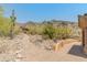 Desert landscape with walkway and home, showing a natural aesthetic and seamless integration with the environment at 11550 E Paradise Ln, Scottsdale, AZ 85255