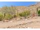 Beautiful hillside desert landscaping and walking paths surround the home for privacy and natural beauty at 11550 E Paradise Ln, Scottsdale, AZ 85255