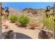 Beautiful brick walkway framed by decorative lamps and views of desert foliage at 11550 E Paradise Ln, Scottsdale, AZ 85255