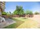 Expansive backyard boasts a patio, green lawn, and privacy fencing, creating an ideal outdoor retreat at 1650 N 10Th St, Phoenix, AZ 85006