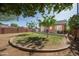 Beautiful backyard with mature trees, grass, privacy wall, and home exterior at 1650 N 10Th St, Phoenix, AZ 85006