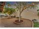 Backyard featuring desert landscaping, string lights and mature trees at 2018 E Balboa Dr, Tempe, AZ 85282