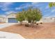 Attractive single-story home with a two-car garage and desert landscaping with young trees at 203 S 190Th Ave, Buckeye, AZ 85326