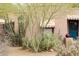 Desert landscape with thriving greenery and a charming home exterior, showcasing a welcoming entrance at 2545 N 14Th St, Phoenix, AZ 85006