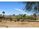 Scenic desert street view with lush landscaping, palm trees, and a mountain backdrop under a blue sky at 25609 N Forest Rd # 13, Rio Verde, AZ 85263
