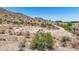 Desert homesite with existing cinder block walls and desert landscaping at 3284 W Highlands Dr, Buckeye, AZ 85396