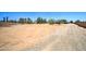 Expansive lot with potential for building, surrounded by mature trees and natural desert landscape at 35019 N Central Ave, Phoenix, AZ 85086