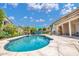 Backyard oasis with a refreshing pool, stone decking, shady palm tree, and a covered patio for relaxation at 3580 W Dublin St, Chandler, AZ 85226