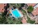 Overhead view of a sparkling pool and spa area with ample seating and mature palm trees at 3830 E Lakewood E Pkwy # 2126, Phoenix, AZ 85048