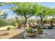Landscaped backyard showcasing a stone waterfall, flowering planters, and desert views at 40123 N Majesty Trl, Anthem, AZ 85086