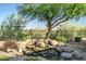 Relaxing rock water feature with lush plantings and desert views in the backyard at 40123 N Majesty Trl, Anthem, AZ 85086