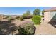 Low-maintenance backyard landscaping with gravel and colorful desert plants at 4245 E Ficus Way, Gilbert, AZ 85298