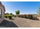 Expansive gravel backyard with colorful flowering bushes, shrubs and desert plants at 4245 E Ficus Way, Gilbert, AZ 85298