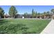 Lush green park area featuring picnic tables and shade structures for relaxing outdoor gatherings at 4266 E Blue Sage Ct, Gilbert, AZ 85297