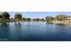 Picturesque pond teeming with ducks and other waterfowl, creating a serene natural setting at 4266 E Blue Sage Ct, Gilbert, AZ 85297